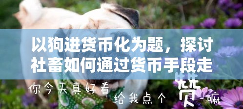 以狗进货币化为题，探讨社畜如何通过货币手段走向财务自由 —— 从奋斗到自由的社畜求生日志